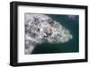 Southern Right Whale Off Peninsula Valdes, Patagonia-null-Framed Photographic Print