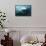 Southern Right Whale's Eye-Doug Allan-Framed Stretched Canvas displayed on a wall