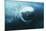 Southern Right Whale's Eye-Doug Allan-Mounted Premium Photographic Print