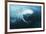 Southern Right Whale's Eye-Doug Allan-Framed Photographic Print