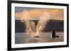 Southern Right whale spouting at surface, with calf breaching-Gabriel Rojo-Framed Photographic Print