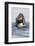 Southern Sea Otter Eats a Clam-Hal Beral-Framed Photographic Print