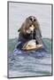 Southern Sea Otter Eats a Clam-Hal Beral-Mounted Photographic Print