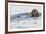 Southern Sea Otter Eats a Clam-Hal Beral-Framed Photographic Print