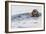 Southern Sea Otter Eats a Clam-Hal Beral-Framed Photographic Print