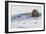 Southern Sea Otter Eats a Clam-Hal Beral-Framed Photographic Print