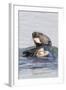 Southern Sea Otter Eats a Clam-Hal Beral-Framed Photographic Print