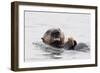 Southern Sea Otter Eats a Clam-Hal Beral-Framed Photographic Print