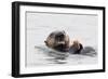 Southern Sea Otter Eats a Clam-Hal Beral-Framed Photographic Print