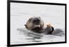 Southern Sea Otter Eats a Clam-Hal Beral-Framed Photographic Print