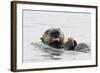 Southern Sea Otter Eats a Clam-Hal Beral-Framed Photographic Print