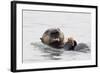 Southern Sea Otter Eats a Clam-Hal Beral-Framed Photographic Print