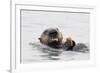 Southern Sea Otter Eats a Clam-Hal Beral-Framed Photographic Print