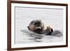 Southern Sea Otter Eats a Clam-Hal Beral-Framed Photographic Print