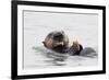 Southern Sea Otter Eats a Clam-Hal Beral-Framed Photographic Print