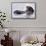 Southern Sea Otter Floats with Paws out of the Water-Hal Beral-Framed Stretched Canvas displayed on a wall