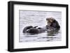 Southern Sea Otter Floats with Paws out of the Water-Hal Beral-Framed Photographic Print