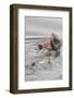 Southern Sea Otters Eats a Crab-Hal Beral-Framed Photographic Print