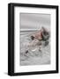 Southern Sea Otters Eats a Crab-Hal Beral-Framed Photographic Print