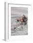 Southern Sea Otters Eats a Crab-Hal Beral-Framed Photographic Print