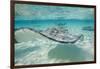 Southern Stingrays at Stingray City-Paul Souders-Framed Photographic Print