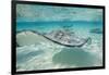 Southern Stingrays at Stingray City-Paul Souders-Framed Photographic Print