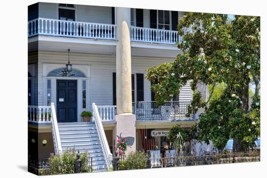 Southern Style House with a Magnolia Tree, Beaufort, South Carolina-George Oze-Stretched Canvas