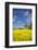 Southern Sweden, Boste lage, filed with yellow flowers, springtime-Walter Bibikow-Framed Photographic Print