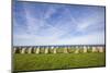 Southern Sweden, Kaseberga, Ales Stenar, Ale's Stones, early people's ritual site, 600 AD-Walter Bibikow-Mounted Photographic Print