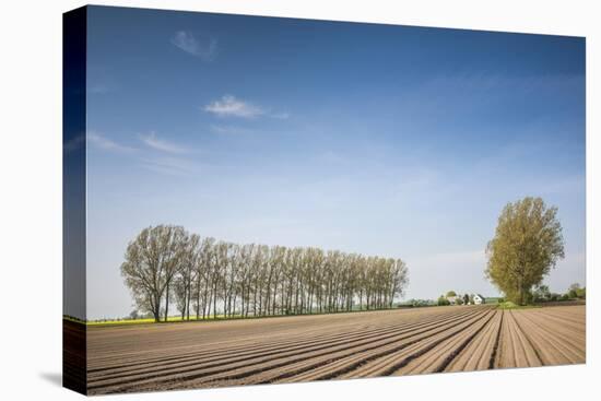 Southern Sweden, Kaseberga, plowed field, springtime-Walter Bibikow-Stretched Canvas