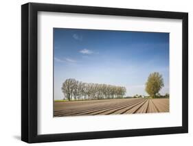 Southern Sweden, Kaseberga, plowed field, springtime-Walter Bibikow-Framed Photographic Print