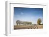 Southern Sweden, Kaseberga, plowed field, springtime-Walter Bibikow-Framed Photographic Print