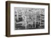 Southern Sweden, Ystad, cafe tables-Walter Bibikow-Framed Photographic Print