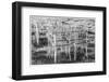 Southern Sweden, Ystad, cafe tables-Walter Bibikow-Framed Photographic Print