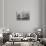 Southern Sweden, Ystad, cafe tables-Walter Bibikow-Stretched Canvas displayed on a wall