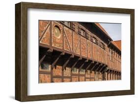 Southern Sweden, Ystad, traditional half-timbered building, Per Helsas Gard, 16th century-Walter Bibikow-Framed Photographic Print