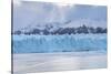 Southern terminus of Perito Moreno glacier under a moody sky, Argentina-francesco vaninetti-Stretched Canvas