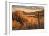 Southern Utah Roadside Scene-Vincent James-Framed Photographic Print