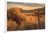 Southern Utah Roadside Scene-Vincent James-Framed Photographic Print