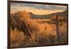 Southern Utah Roadside Scene-Vincent James-Framed Photographic Print