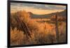 Southern Utah Roadside Scene-Vincent James-Framed Photographic Print