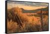 Southern Utah Roadside Scene-Vincent James-Framed Stretched Canvas