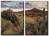 Southern Utah Roadside-Vincent James-Stretched Canvas