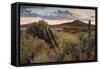 Southern Utah Roadside-Vincent James-Framed Stretched Canvas