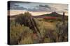 Southern Utah Roadside-Vincent James-Stretched Canvas