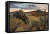 Southern Utah Roadside-Vincent James-Framed Stretched Canvas