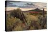 Southern Utah Roadside-Vincent James-Stretched Canvas