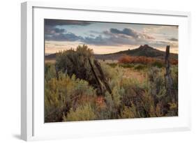 Southern Utah Roadside-Vincent James-Framed Photographic Print