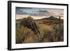 Southern Utah Roadside-Vincent James-Framed Photographic Print