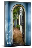 Southern Welcome In Charleston-George Oze-Mounted Photographic Print